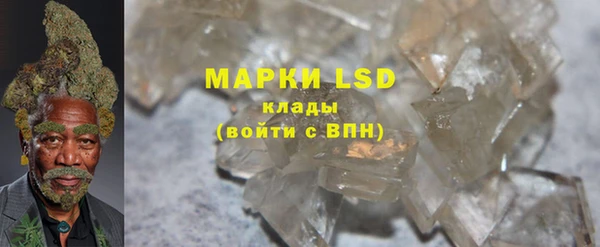 дживик Корсаков