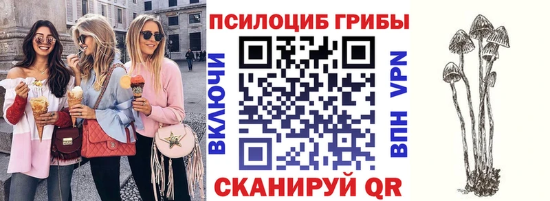 Галлюциногенные грибы MAGIC MUSHROOMS  Серафимович 